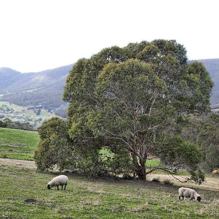 House On The Hill Bed And Breakfast Huonville Exteriör bild